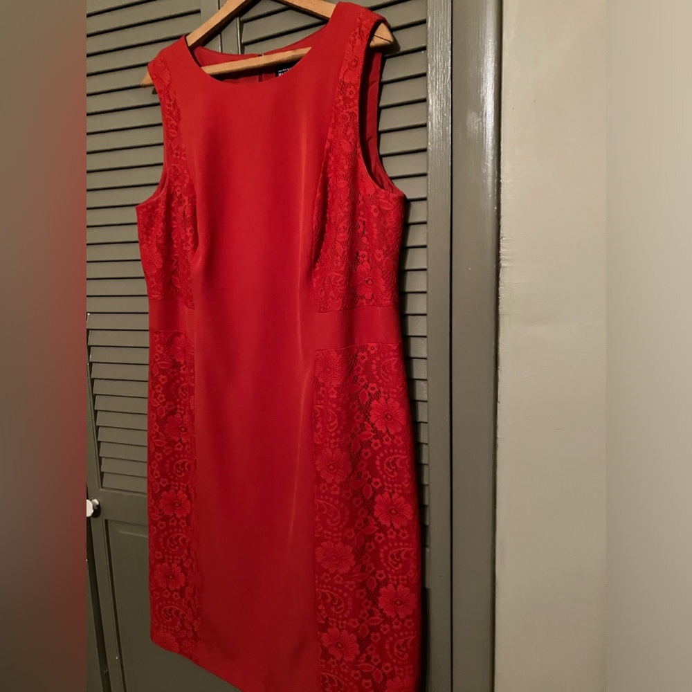 Beautiful Adrianna Papell Woman lace dress